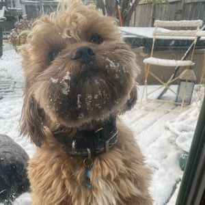 Meet your Posher, Sandy